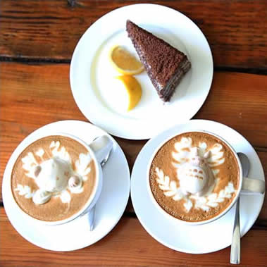 �����¶�������רҵ