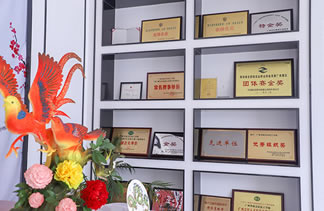 ʦ�������ۺ�����ѧУ