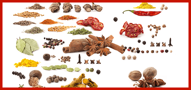 ��±��ѵ�ֳ�