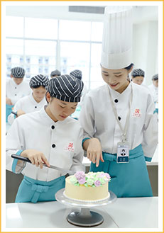 ������ѵѧУ����רҵ